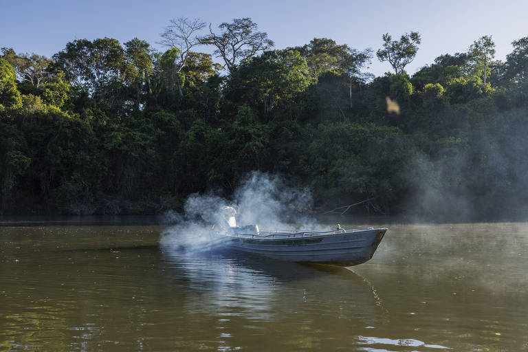 Capadocianas Mineração ilegal de ouro no Brasil cresceu em diz estudo FSP