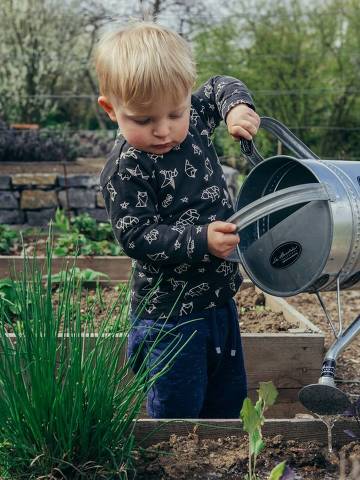 Criança regando plantas - Web Stories 