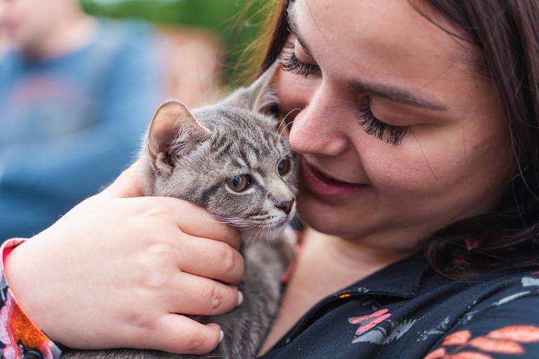 Pulgas em gatos: veterinária explica como acabar com parasitas