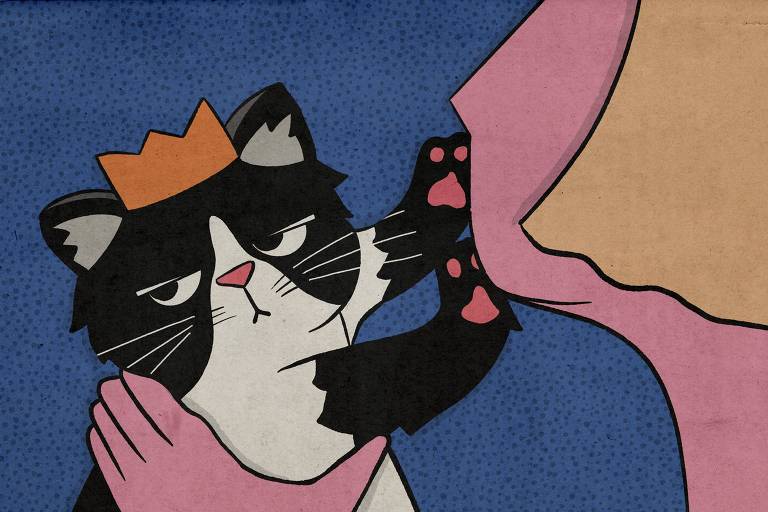 Dia do Gato: veterinária ensina como tratar seu felino como um rei