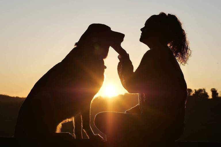Cachorro com sua tutora contra o pôr do sol