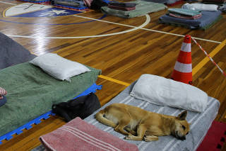 Homeless shelter in Brazil puts a 'roof' over man's best friend during low temperatures