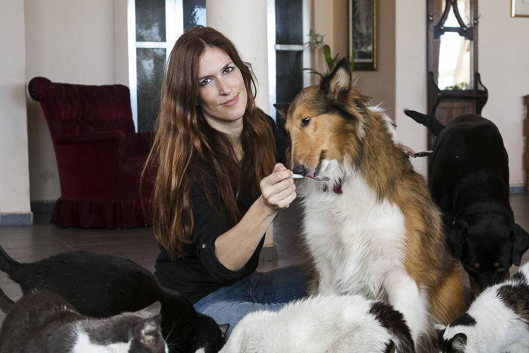 mulher em meio a cachorro e gatos