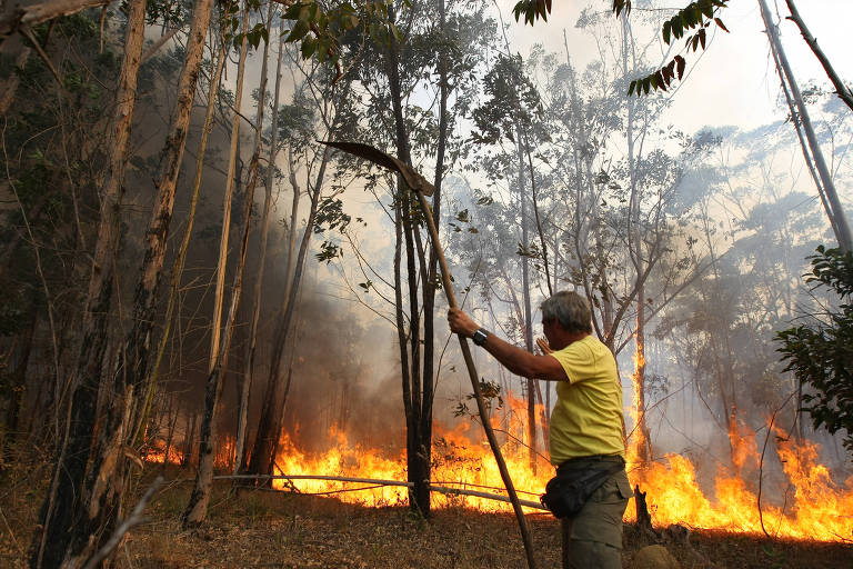 Brigadista do Ibama tenta ajudar a controlar incêndio na Floresta Nacional de Brasília (DF), em 2011, quando a mata teve 70% de sua área destruída pelo fogo