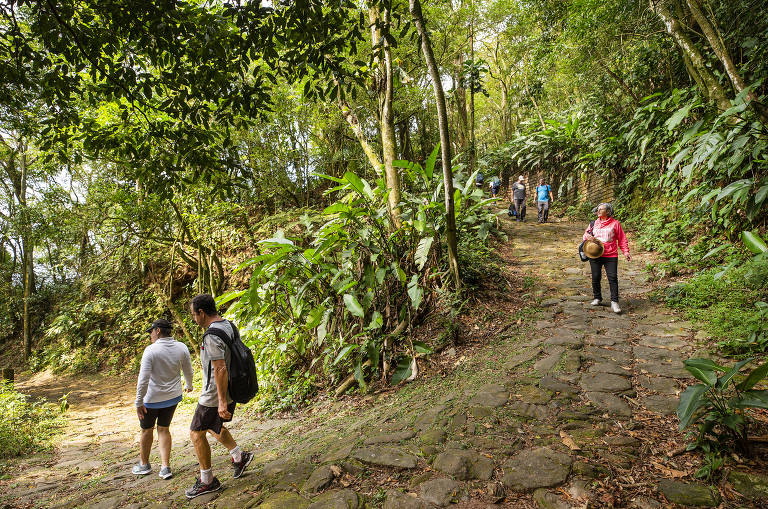 Visitantes percorrem trecho da Calçada do Lorena dentro do parque Caminhos do Mar; via construída com pedras da região foi concluída em 1792 e utilizada por D. Pedro