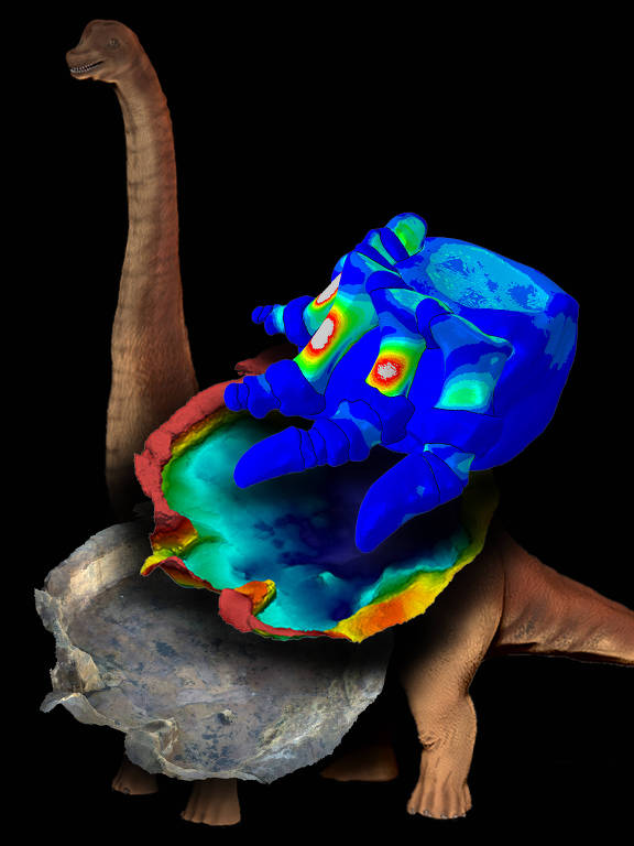 Imagem conceitual mostra como seria a pata com a almofadinha, superimposta numa imagem de uma pegada de saurópode