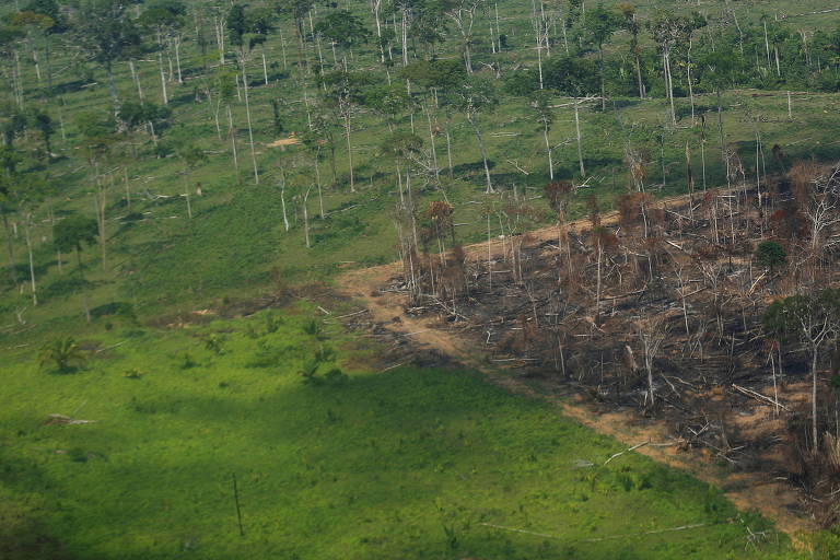 Ponto da Amazônia desmatado