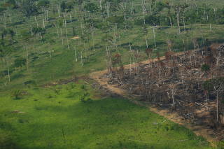 FILE PHOTO: Forest fires in the Amazon rainforest in Brazil