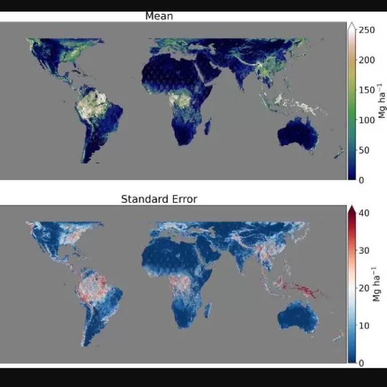 Visualização de dados do Gedi - as cores representam as toneladas de biomassa aérea por hectare no mapa superior, enquanto o mapa inferior mostra o erro de previsão do modelo Gedi de biomassa