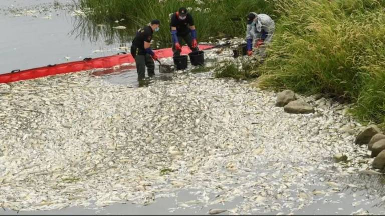 Três homens retiram peixes do rio na comunidade de Krajnik Dolny, na Polônia