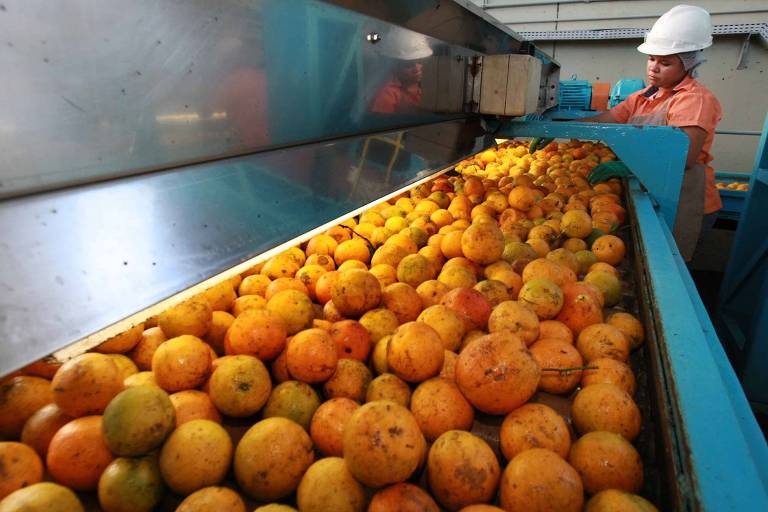 Conheça a história da Cutrale, uma das maiores fábricas de suco de laranja do mundo