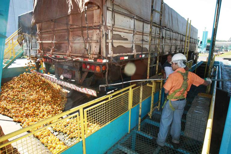 Especializada em suco de laranja, a empresa tem hoje vários outros produtos em seu portfólio e é um das maiores produtoras de suco de laranja do mundo