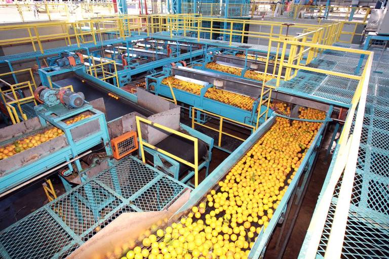 O império foi fundado pelo "Rei da Laranja", José Cutrale Júnior, que vendia laranja no Mercado Municipal da Cantareira, em São Paulo (SP)