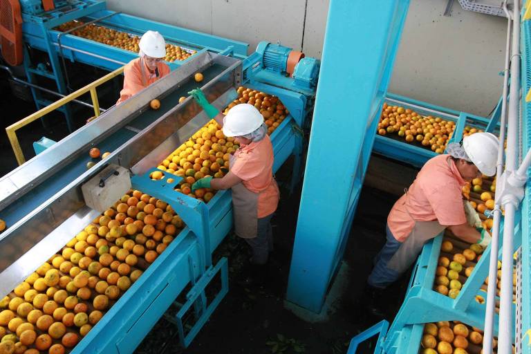 O empresário José Luis Cutrale, que morreu nesta quarta (17), aos 75 anos, era o único herdeiro do império
