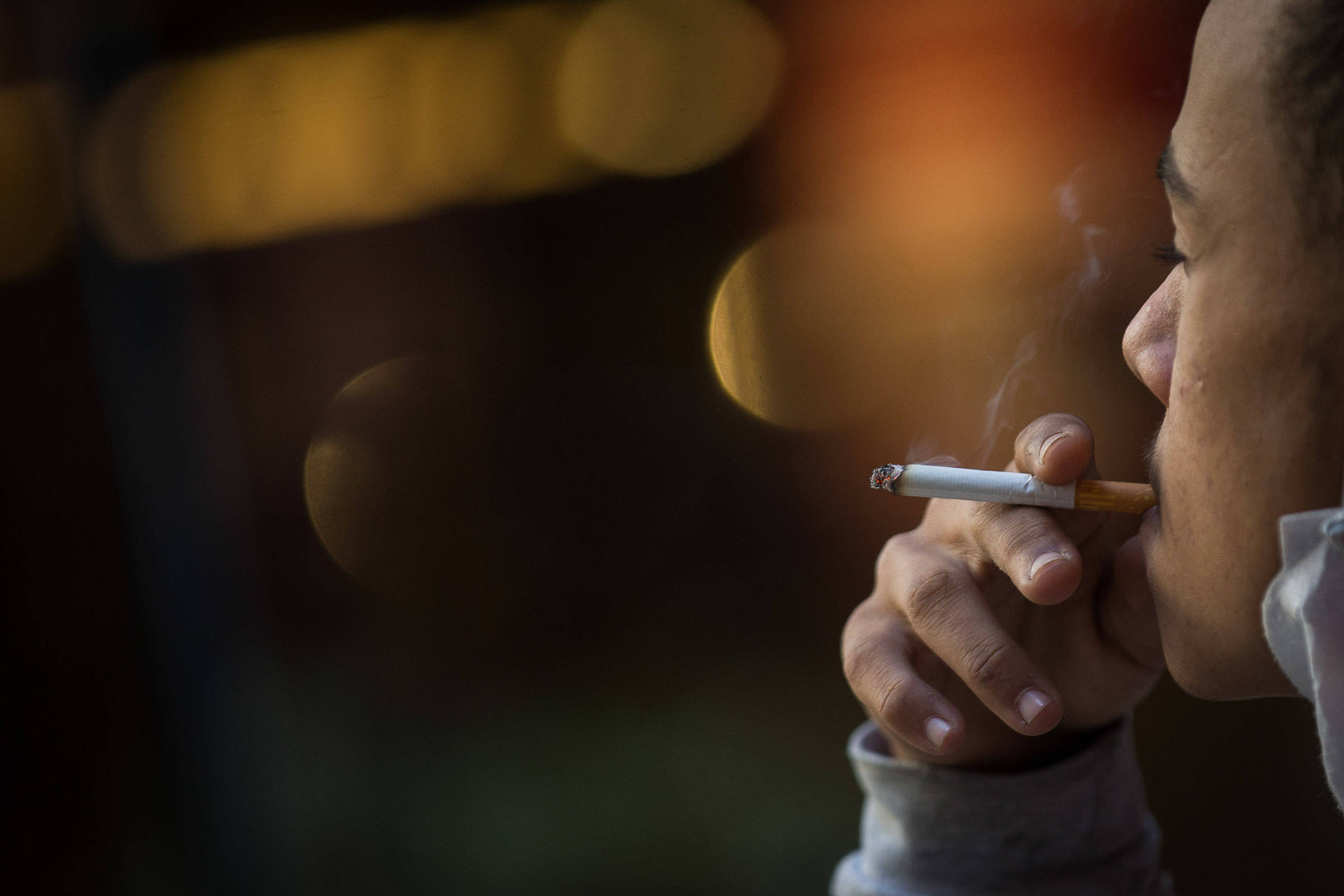 Tarcísio should sanction law that combats illegal cigarettes – 03/12/2024 – Panel SA