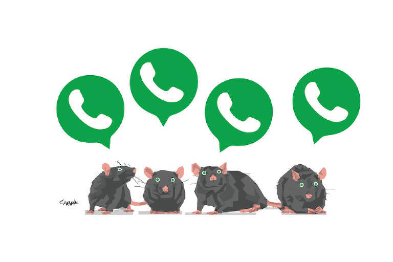 Ilustraçnao mostra 4 ratos cinzas, acima de cada um deles há um logo do whatsapp.