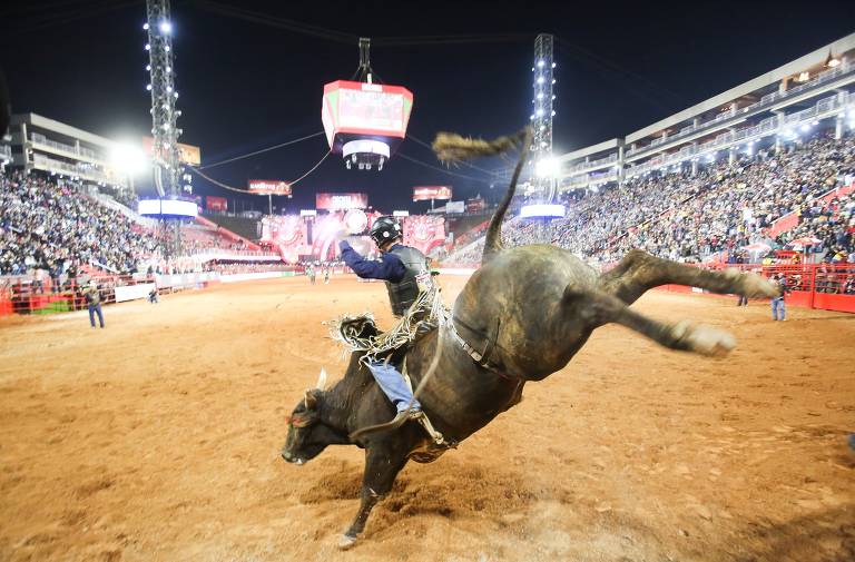 Peão de Ipameri, GO, vence segunda noite de montaria do Rodeio  Internacional em Barretos, Festa do Peão de Barretos 2023