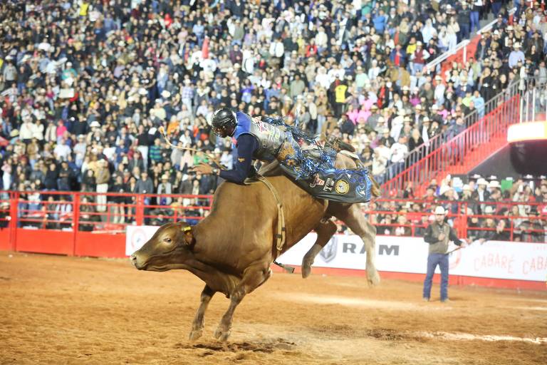 Peão de Ipameri, GO, vence segunda noite de montaria do Rodeio  Internacional em Barretos, Festa do Peão de Barretos 2023