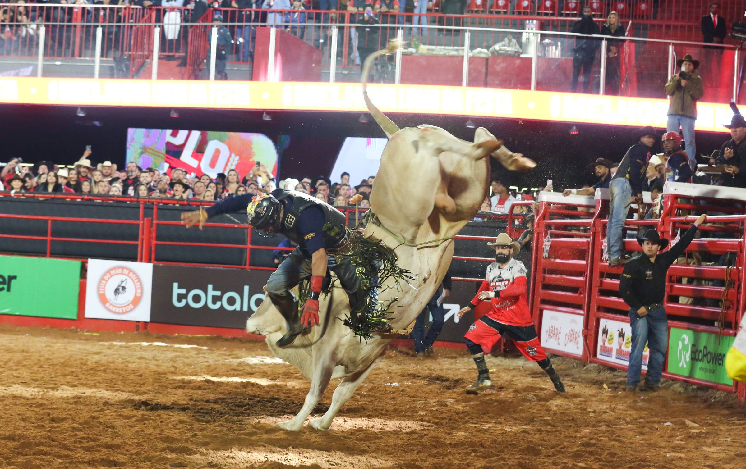 Rodeio, a estrela da Festa do Peão de Barretos - Cavalus