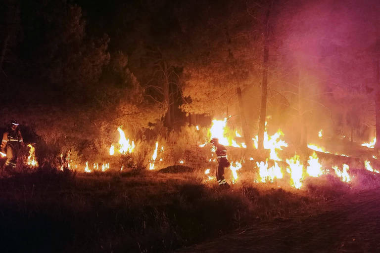 Bombeiros combatem chamas de incêndio florestal em Cebreros, na comunidade espanhola de Castilla y León