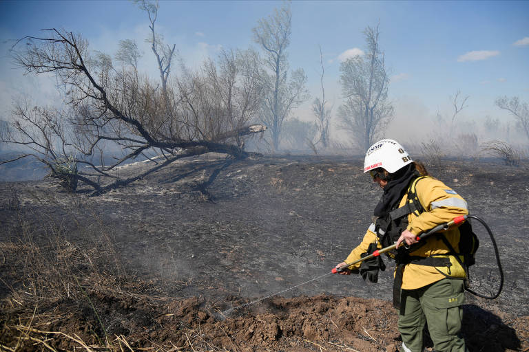 Bombeiro trabalha para tentar extinguir fogo em Entre Ríos, região próspera em biodiversidade ameaçada por queimadas intencionais