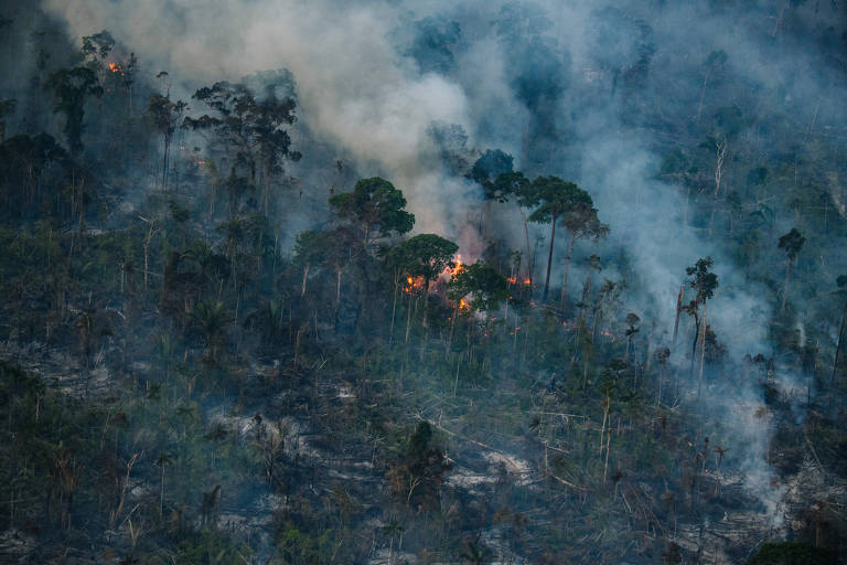 Incêndios no sul do Amazonas deixam Manaus encoberta de fumaça