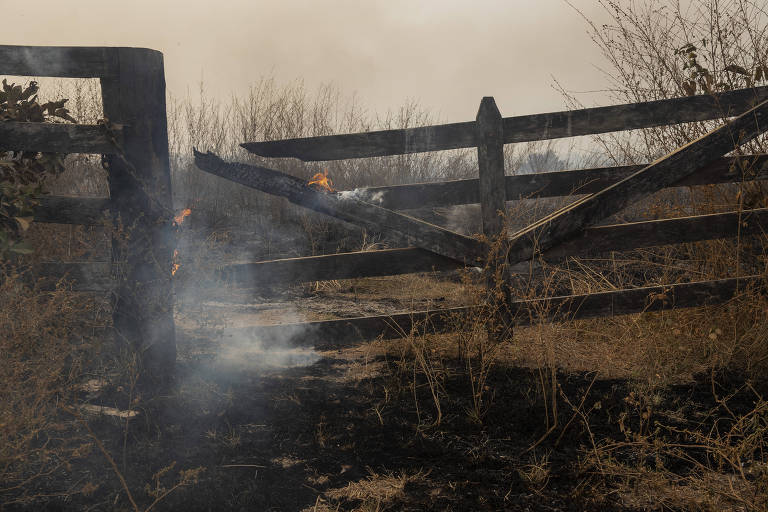 Porteira atingida por queimada que ficou fora de controle em uma fazenda as margens na rodovia Transamazônica, na zona rural de Apuí, no sul do Amazonas