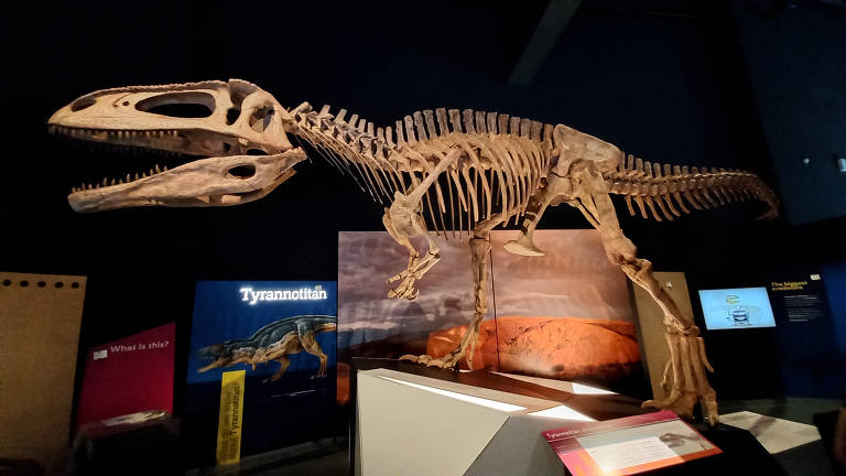 Expodinos': 7 motivos para visitar a mostra com réplicas de dinossauros em  tamanho natural e fósseis