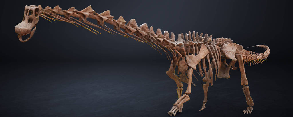 Fóssil do patagotitan, que dá nome à exposição  