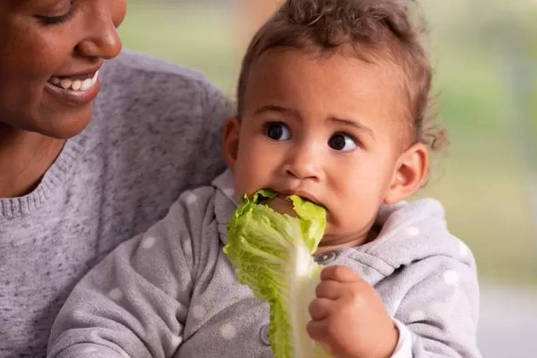 Justiça proíbe mãe de ver o filho por escolher alimentação vegetariana ao  bebê