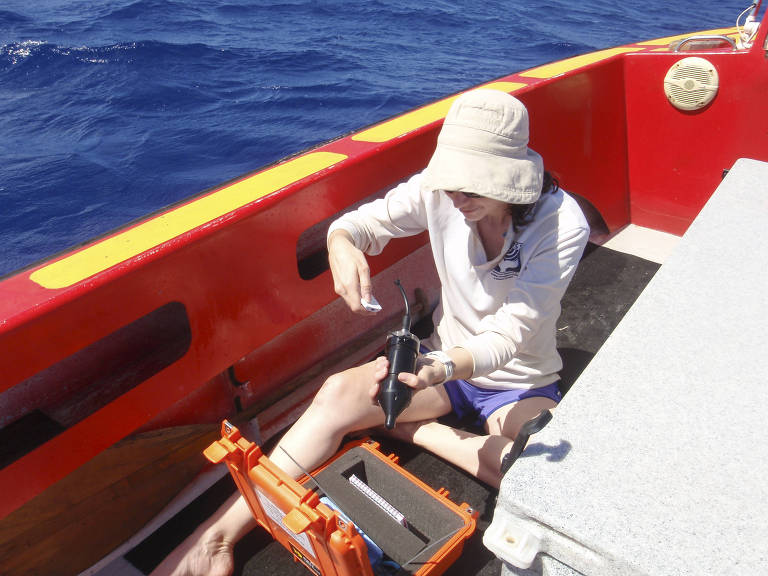 Ellen Garland, bióloga marinha da Universidade de St. Andrews, prepara microfone para gravar os sons das baleias no recife de Moorea, na Polinésia Francesa