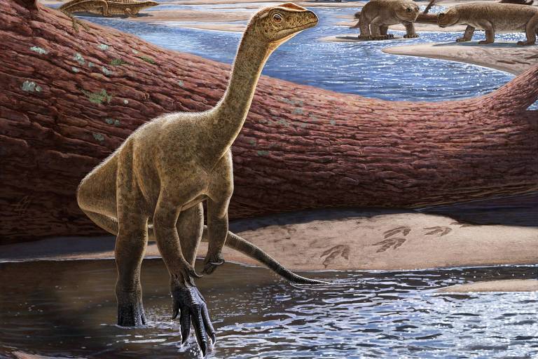 Fósseis dos dinossauros mais antigos da África são encontrados