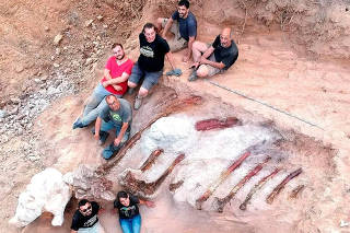 Excavation works of the remains of a sauropod dinosaur, in Pombal