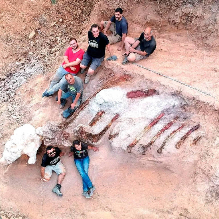 Sete cientistas posam sobre os ossos fossilizados do dinossauro saurópode, no quintal de uma casa em Pombal (POR)