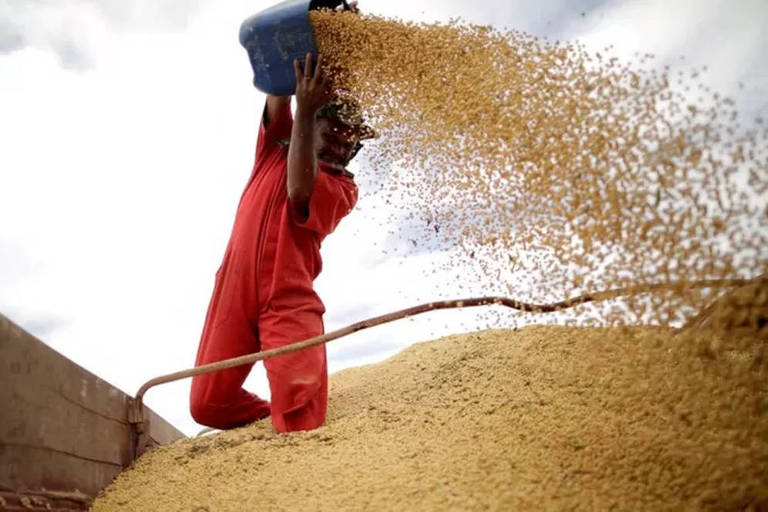 Brasil é competitivo porque exporta soja sem cobrar por água e biodiversidade perdidas, diz cientista