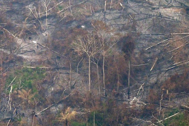 Vista da região da Labrea, na Amazônia desmatada em setembro de 2022. A região registrou o pior agosto de desflorestamento de 2011
