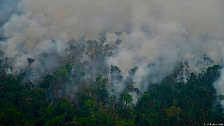 Chamas consomem a floresta dentro da Área de Proteção Ambiental (APA) do Tapajós
