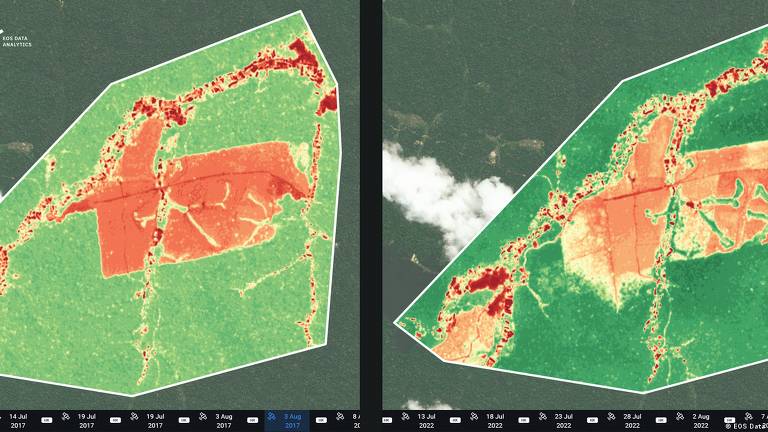 lmagens de satélite da Terra Indígena Munduruku mostram área de garimpo em 2017 (esquerda) e em 2022, com mais vegetação degradada