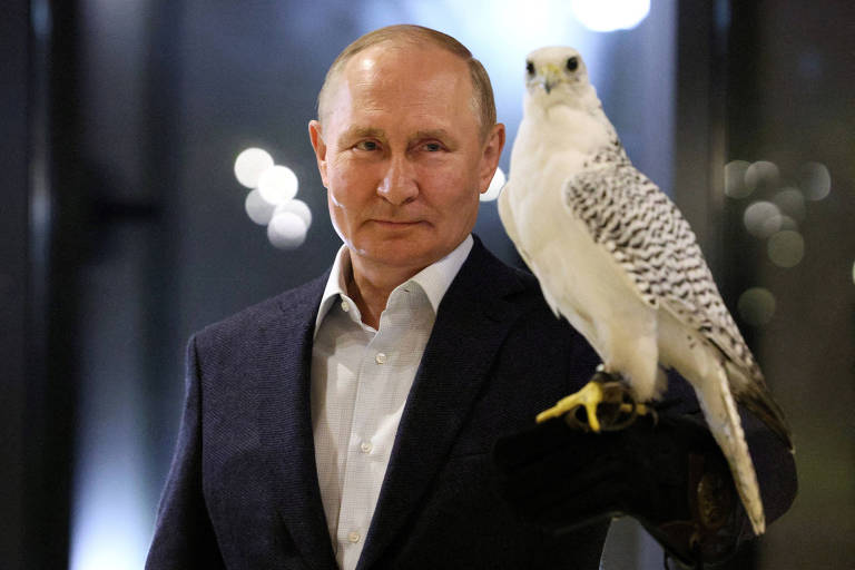 Putin segura falcão em centro de criação das aves em Kamtchatka, Extremo Oriente da Rússia