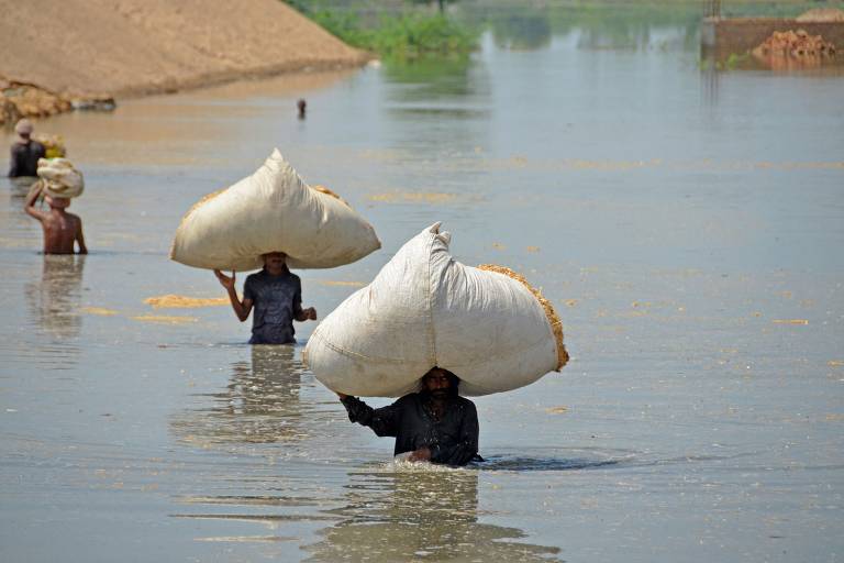 China atualiza mortes ligadas a tufão Doksuri para 62 - 09/08/2023 - Mundo  - Folha