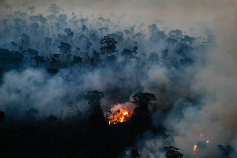 Na Independência, Amazônia passa número de queimadas de setembro de 2021