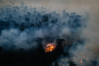 Fire and Deforestation Monitoring near the Manicoré River in the Amazon in Brazil
Monitoramento de Fogo e Desmatamento Próximo ao Rio Manicoré na Amazônia