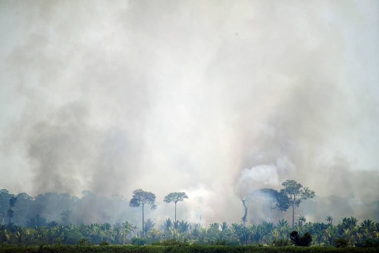 Desmatamento em Rondônia avança até em áreas protegidas por lei