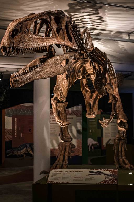 Veja imagens da mostra 'Dinossauros - Patagotitan, o Maior do Mundo'