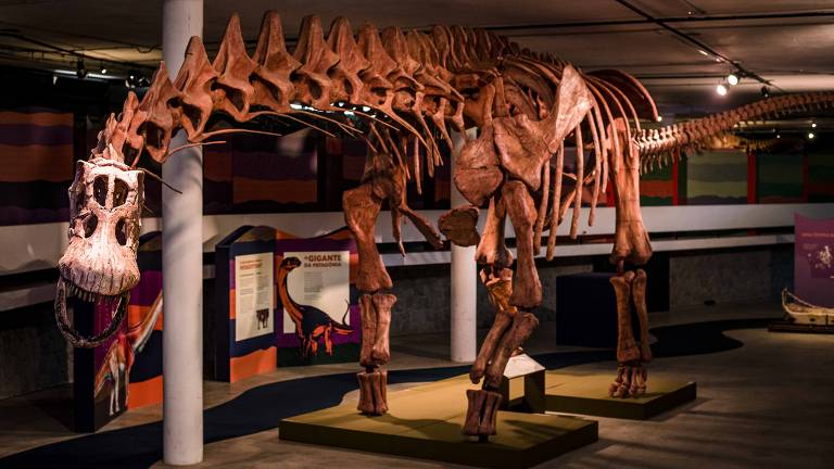 Para paleontólogo argentino, faltam dados para explicar origem de superdinossauros