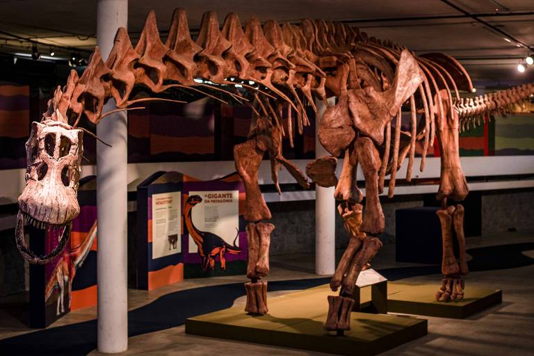 Conheça o maior dinossauro do mundo, o Patagotitan, que ganha exposição em SP