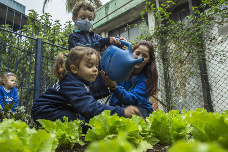 Na foto, três crianças, alunos do Colégio Harmonia, regam a horta da escola com um regador azul