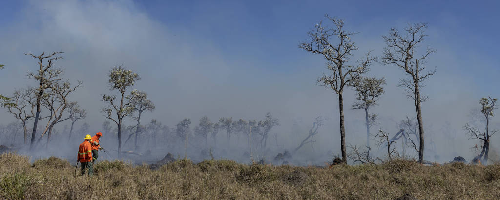 Brigadas Pantaneiras equiparam e treinaram equipes de combate ao fogo no Pantanal