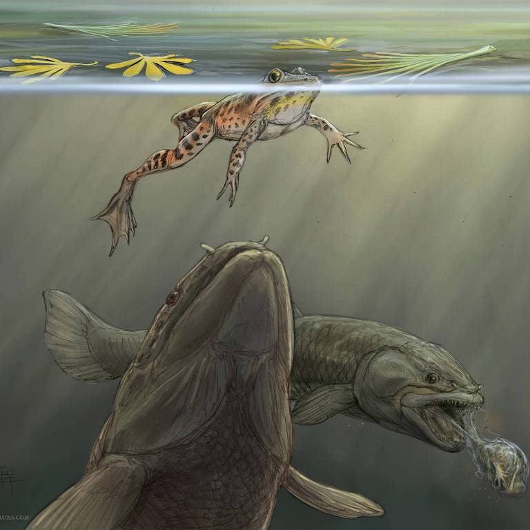 Durante o Jurássico Superior do que hoje é o sudeste de Utah (EUA), um peixe-arco tenta se aproximar de um sapo flutuando na superfície de uma lagoa, enquanto outro peixe-arco regurgita parte de uma refeição recente de sapos e uma salamandra