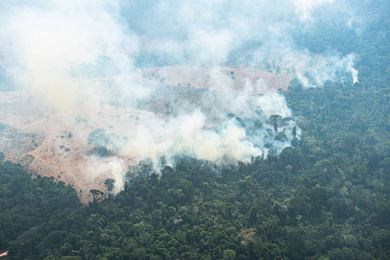 A mortalidade indígena por exposição à fumaça das queimadas